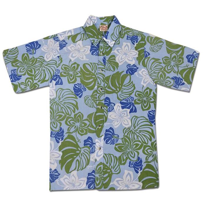 Abstract Hibiscus Reverse (Powder)